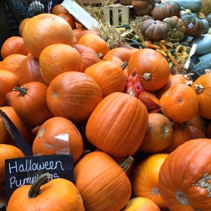 pumpkins